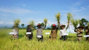 Artikel 3 - Kita Sukses Kelompok Tani Binaan Biowin_ Panen Lebih Melimpah, Biaya Hemat, Tanah Lebih Sehat dengan Pupuk Organik Biowin